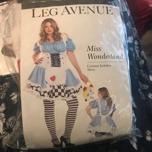 Miss Wonderland Halloween Costume